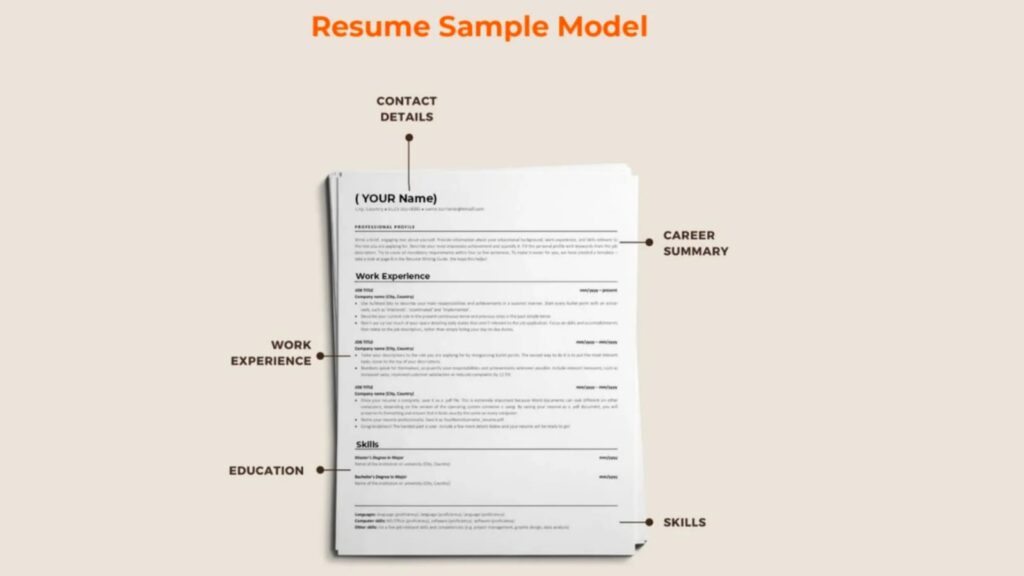 Resume Sample Model